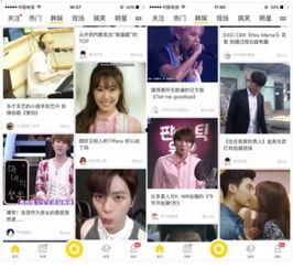 韩娱八卦最新爆料新闻报道,最新八卦新闻揭秘明星幕后故事!”
