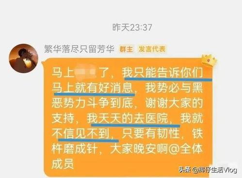 东营餐厅爆料案件最新情况,真相逐步浮出水面