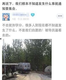 河北美院爆料视频最新,真相令人震惊!